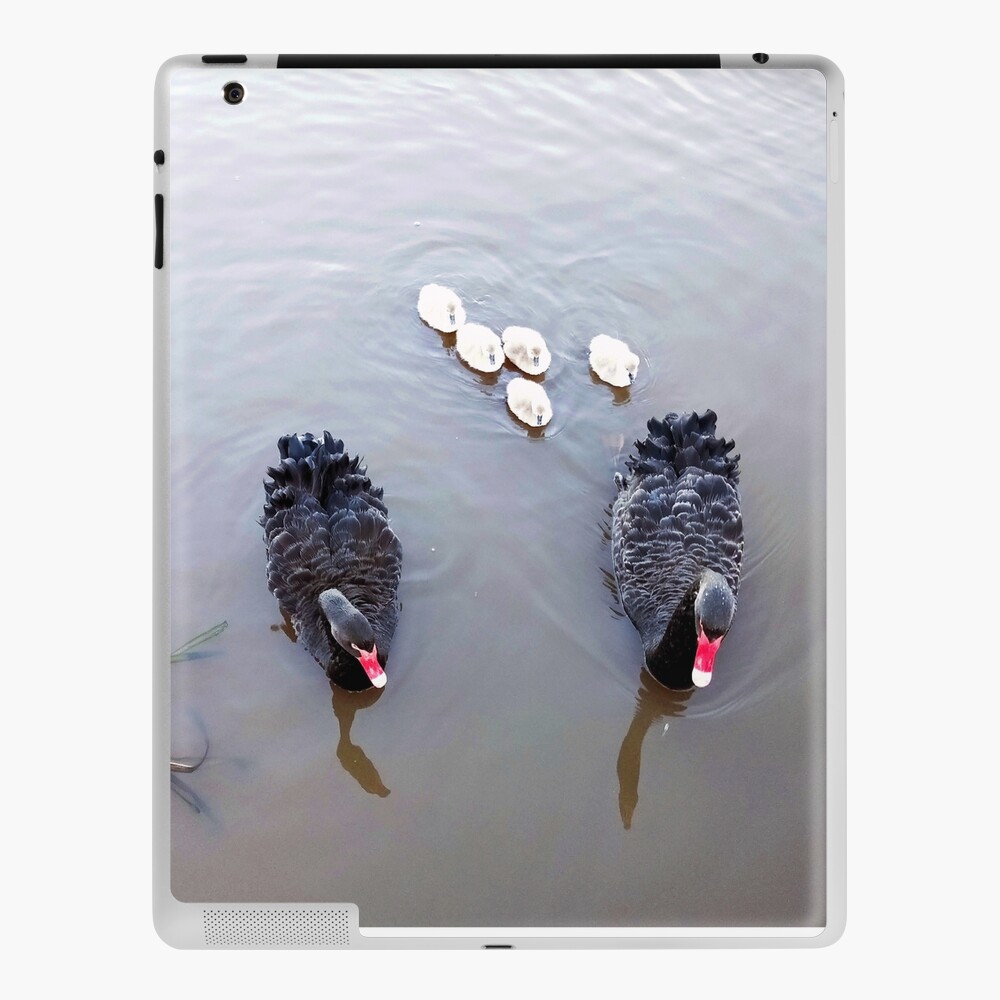 Black Swan Family iPad Skin
