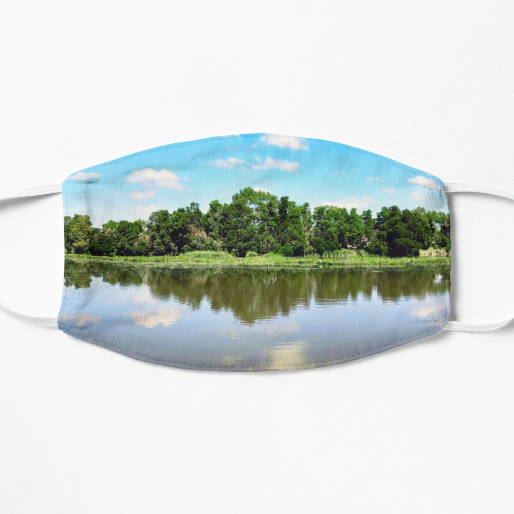 Blue Sky Reflections Small Mask