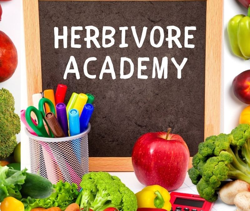 Herbivore Academy